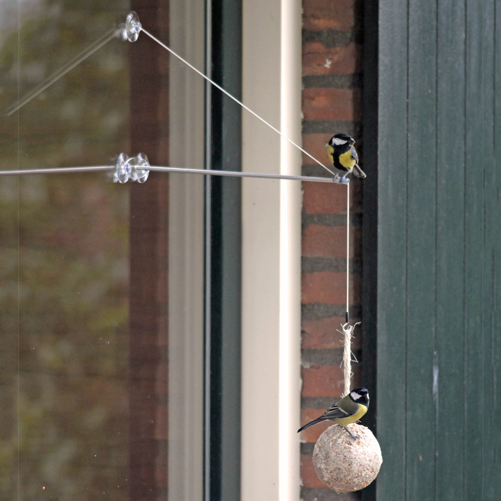 BirdSwing Window Peanut Cake Feeder