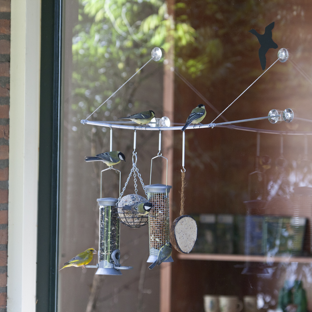 Birdswing Restaurant Window Bird Feeder