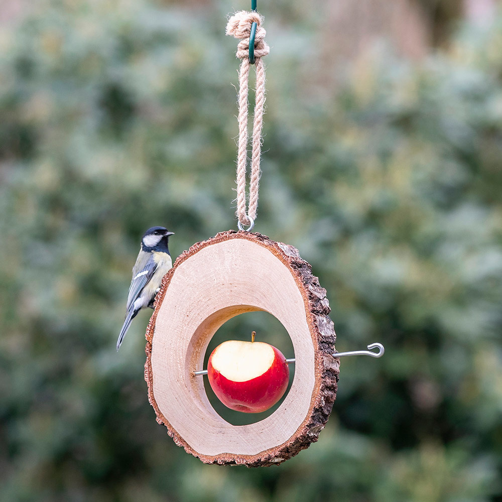 Columbus Apple Bird Feeder