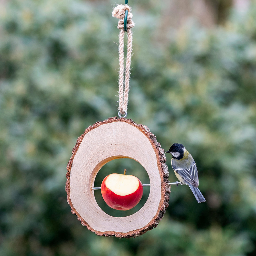 Columbus Apple Bird Feeder