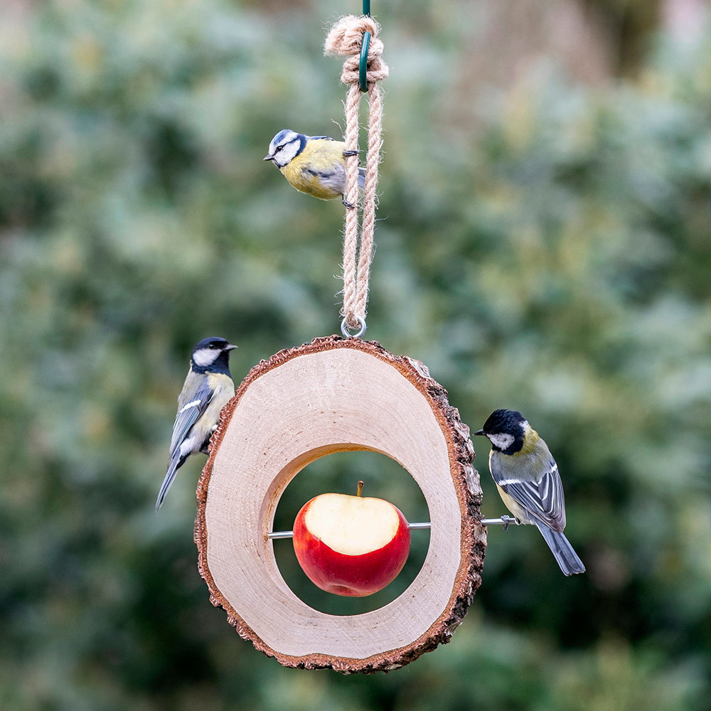 Columbus Apple Bird Feeder