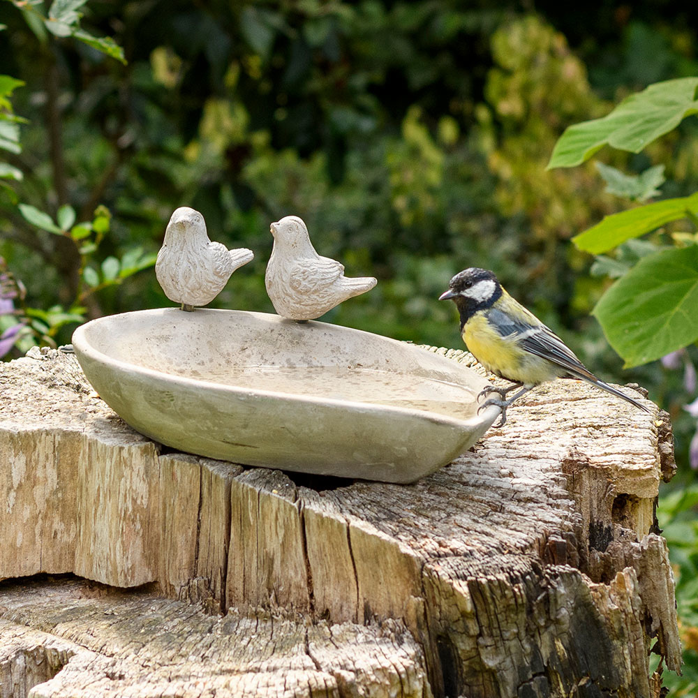 Licony Concrete Bird Bath