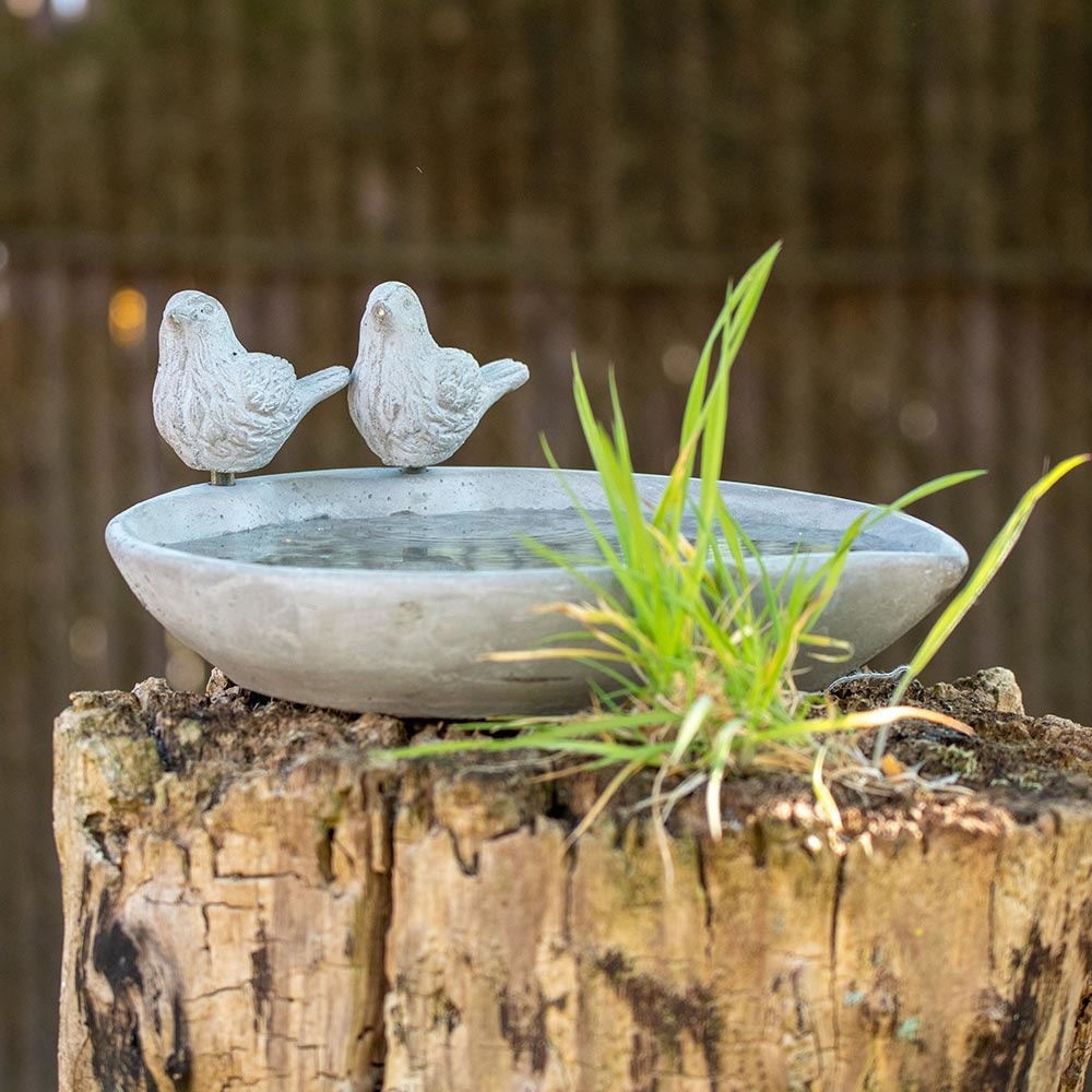 Licony Concrete Bird Bath