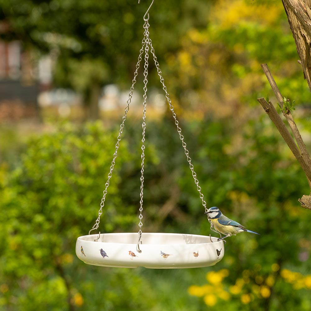 Abreuvoir oiseaux du jardin