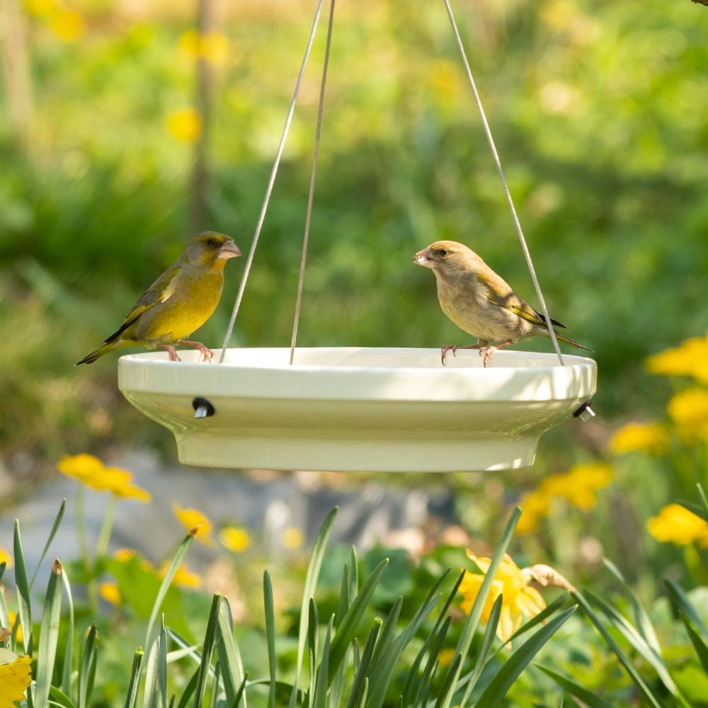 Vesi Hanging Water Dish - cream