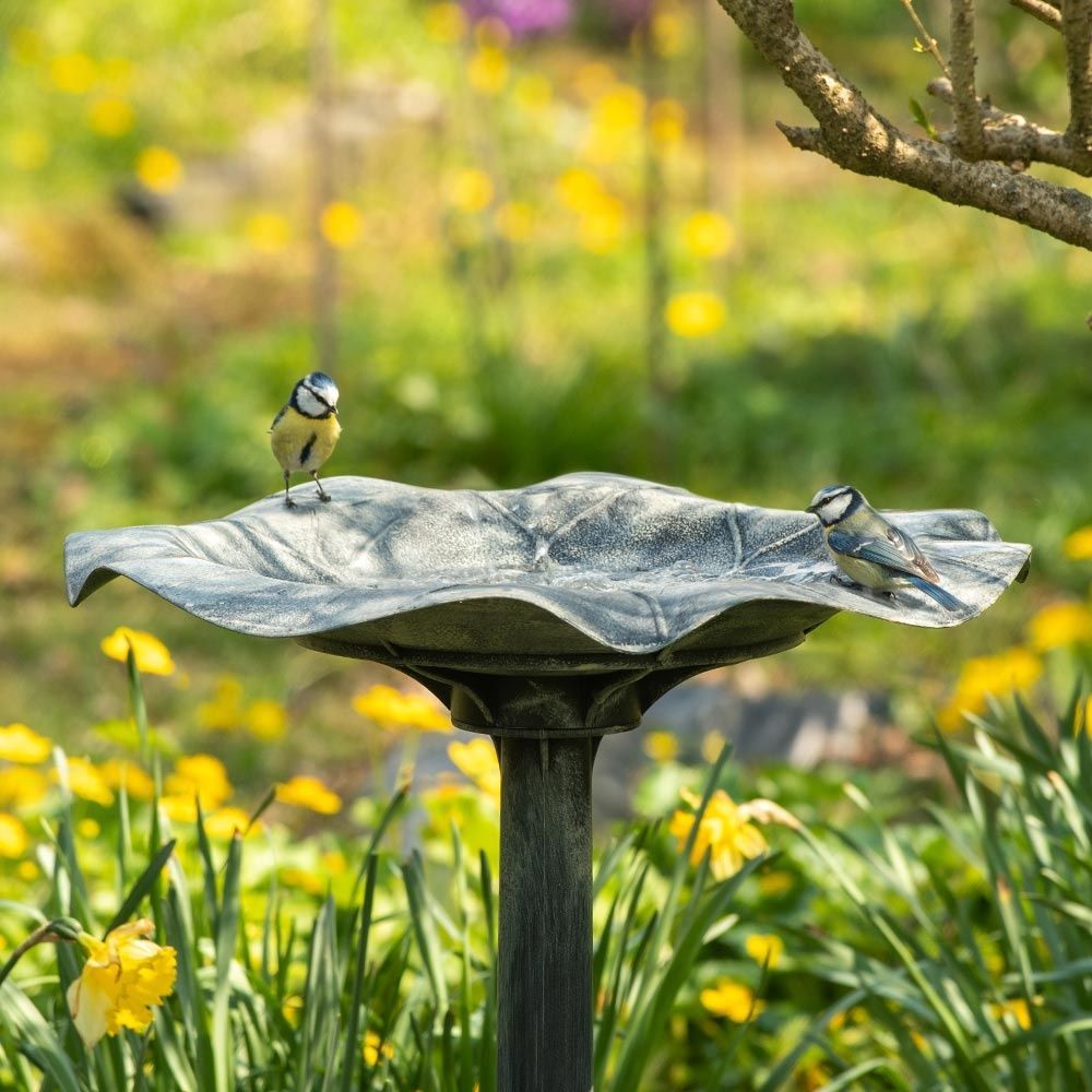 Silbersee Pedestal Bird Bath