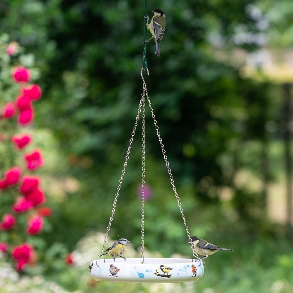 Abreuvoir les oiseaux de Myrte