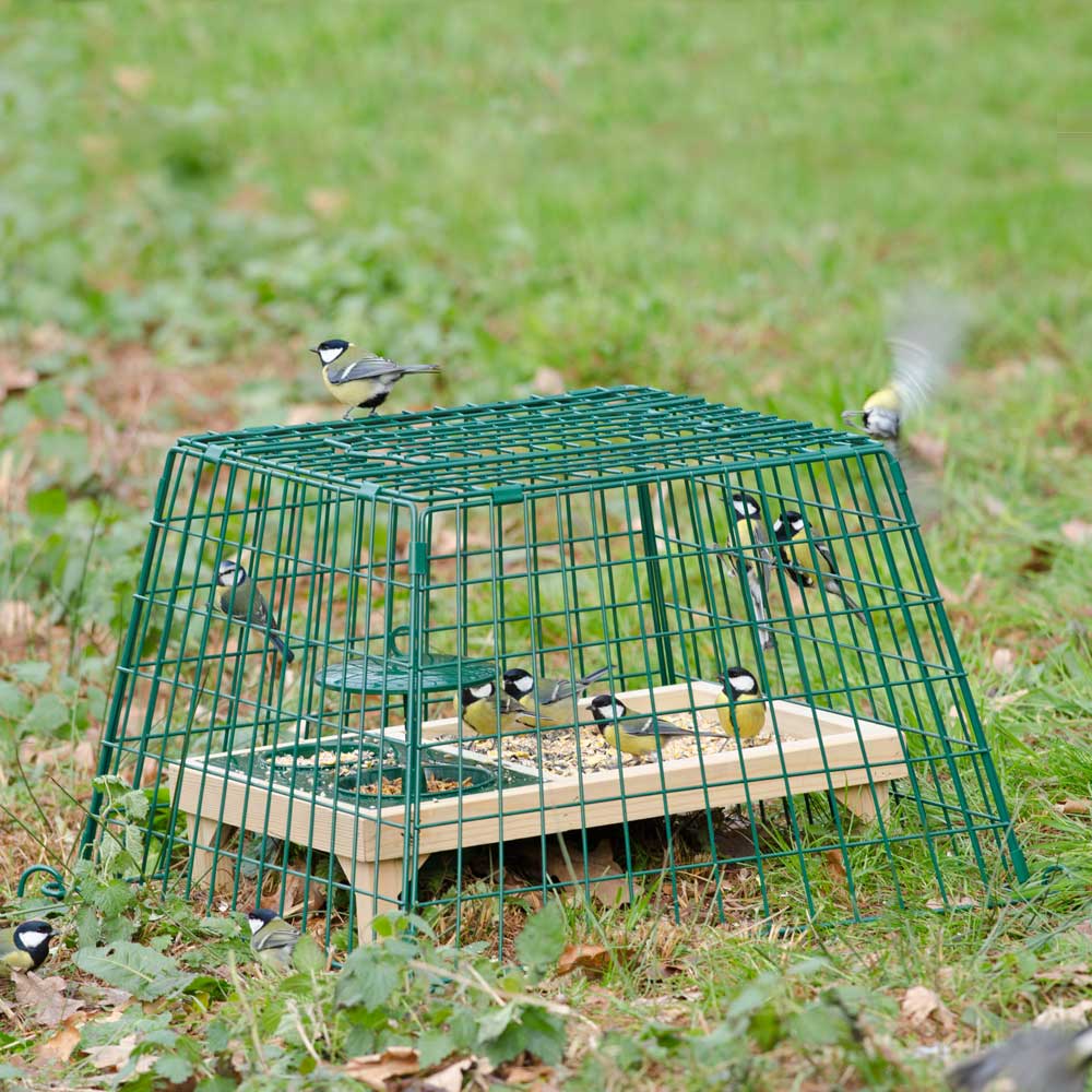 Ground Feeder Guardian (Small Mesh)