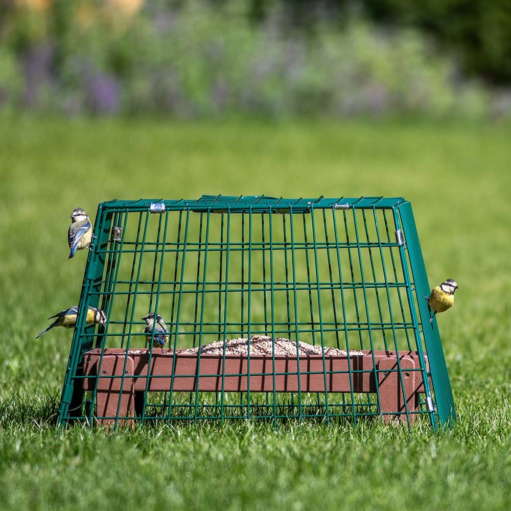 Ground Feeder Guardian