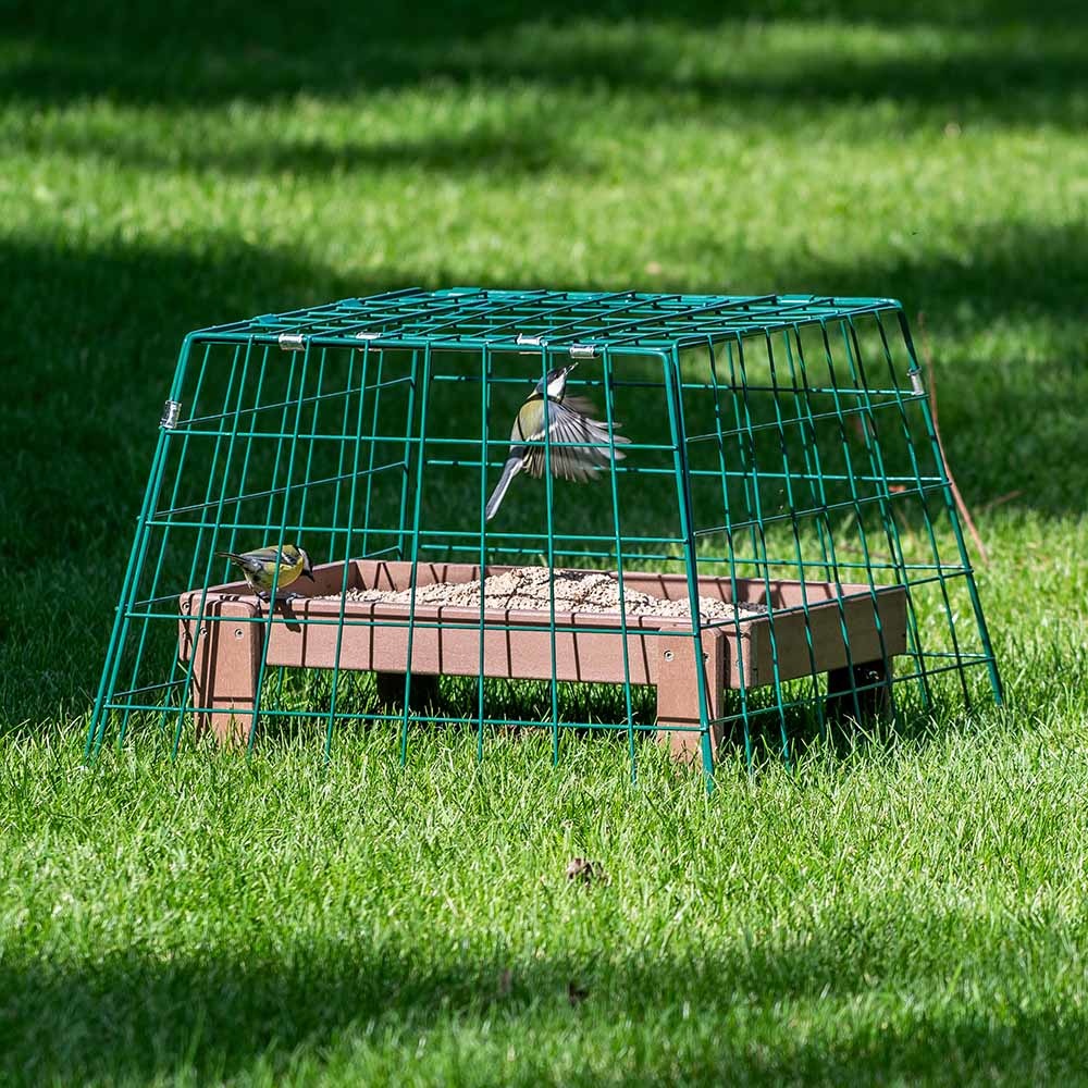 Ground Feeder Guardian