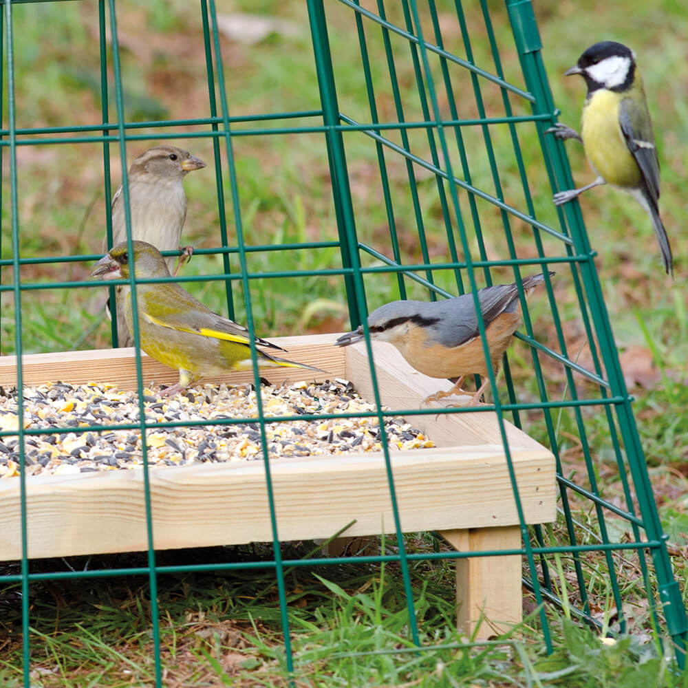 Ground Feeder Guardian