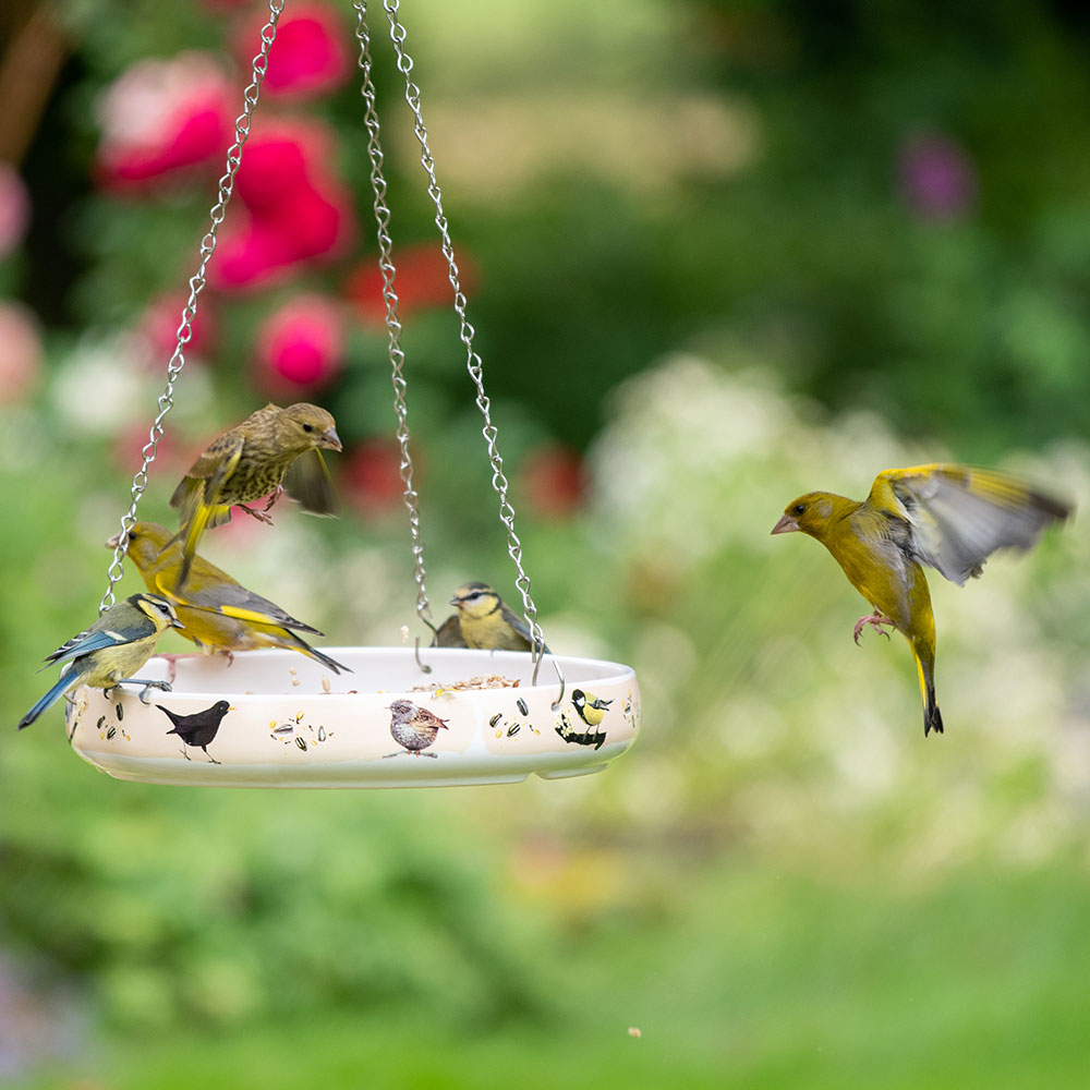 Bird Bath & Feeding Bowl Bundle by Myrte