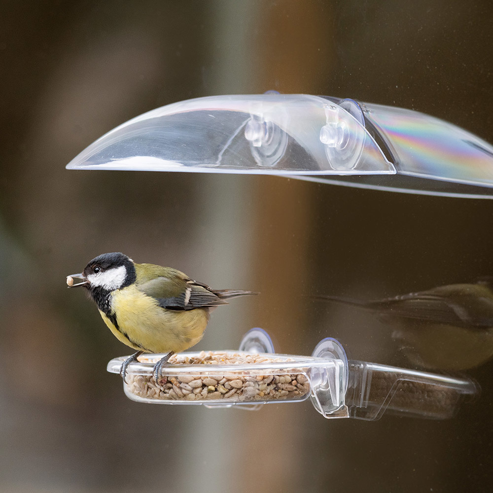 Bordeaux Window Bird Feeder