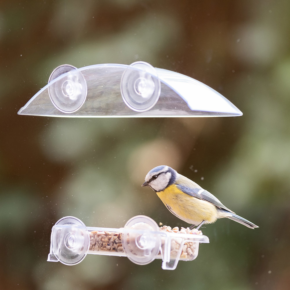 Bordeaux Window Bird Feeder