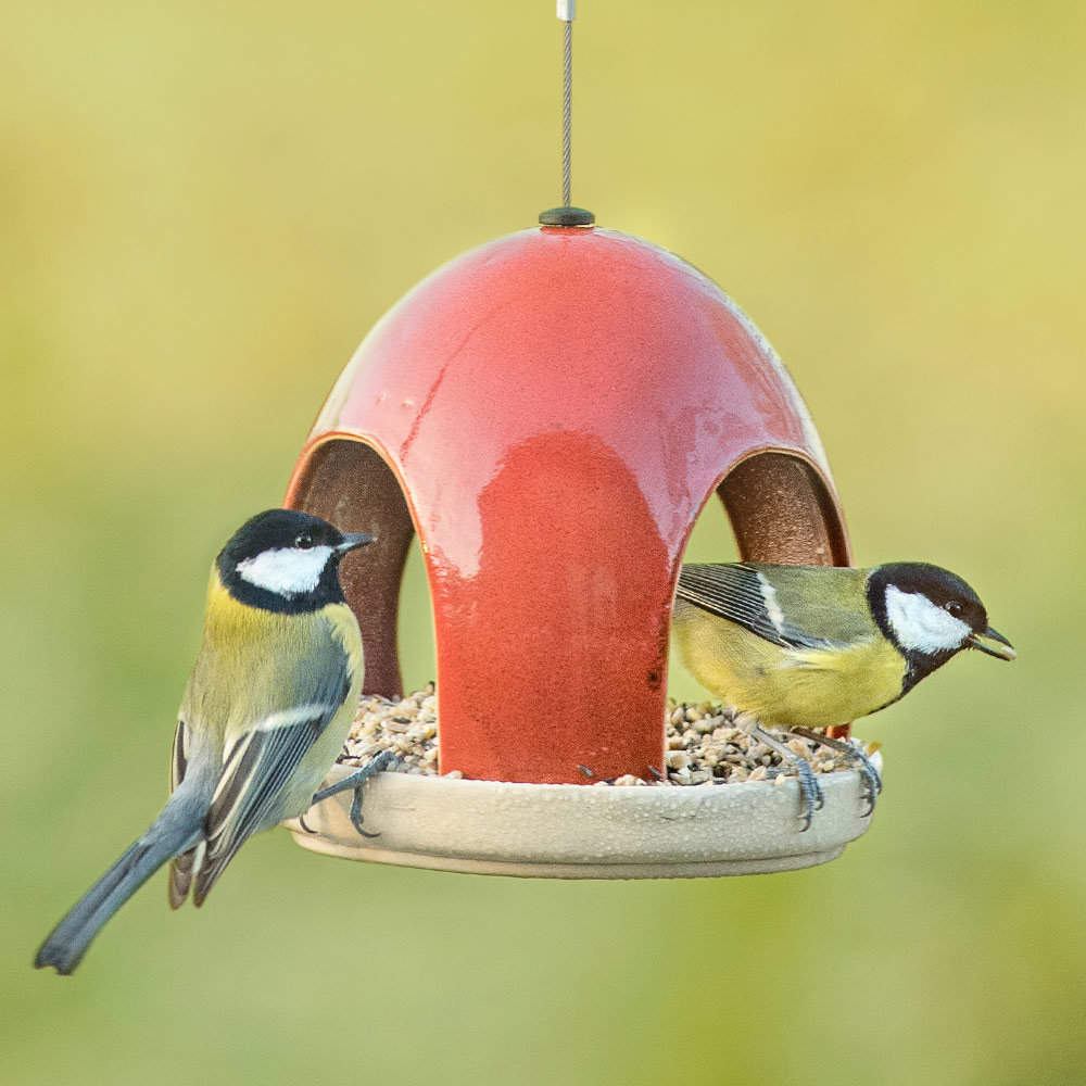 Vierno Tavern Bird Seed Feeder