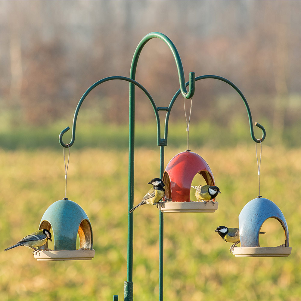 Vierno Tavern Bird Seed Feeder