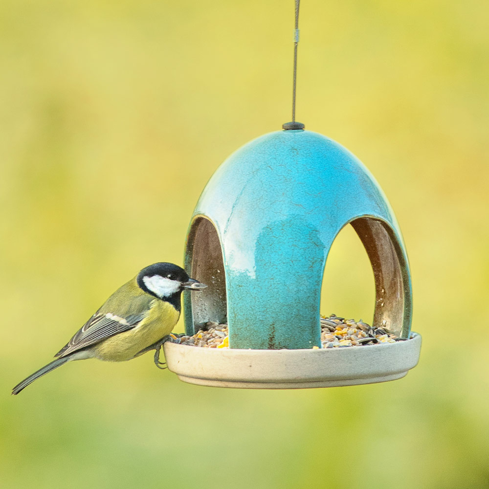 Vierno Tavern Bird Seed Feeder (Green)