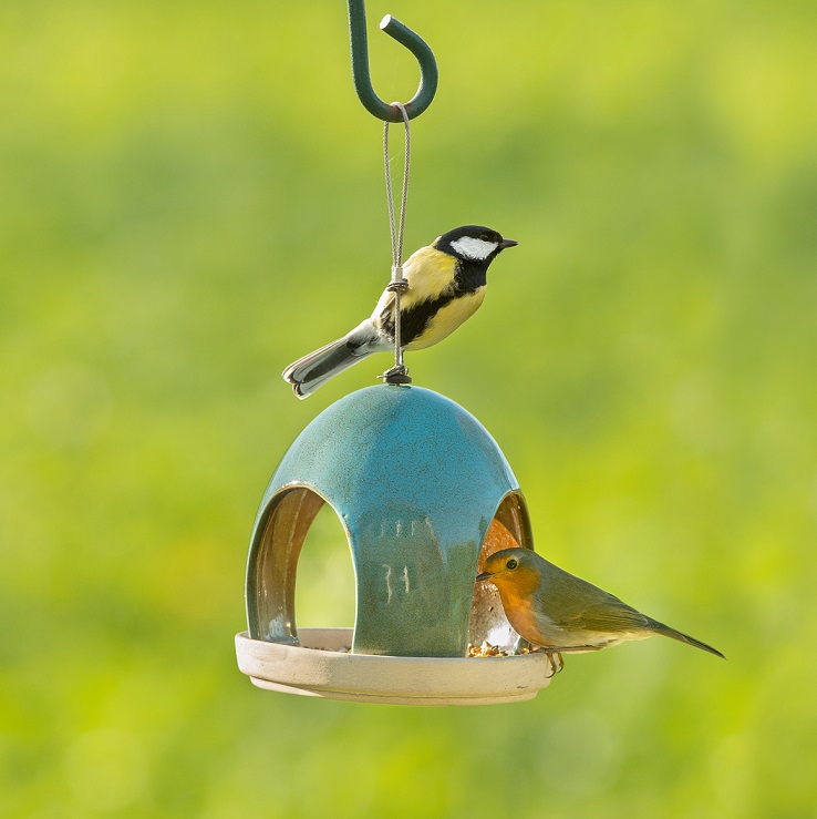 Vierno Tavern Bird Seed Feeder