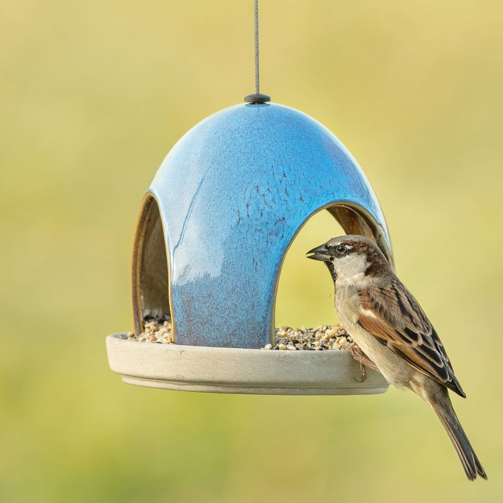 Vierno Tavern Bird Seed Feeder