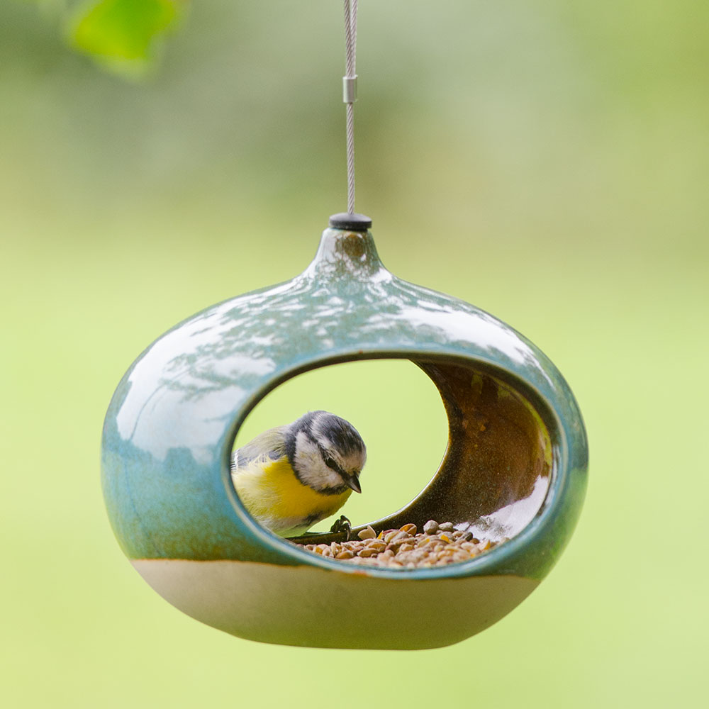 Vierno Diner Bird Feeder & Seed Mix Starter Bundle