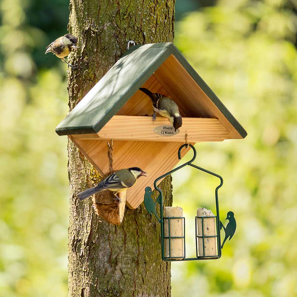 Yellowstone Wall Mounted Bird Feeder