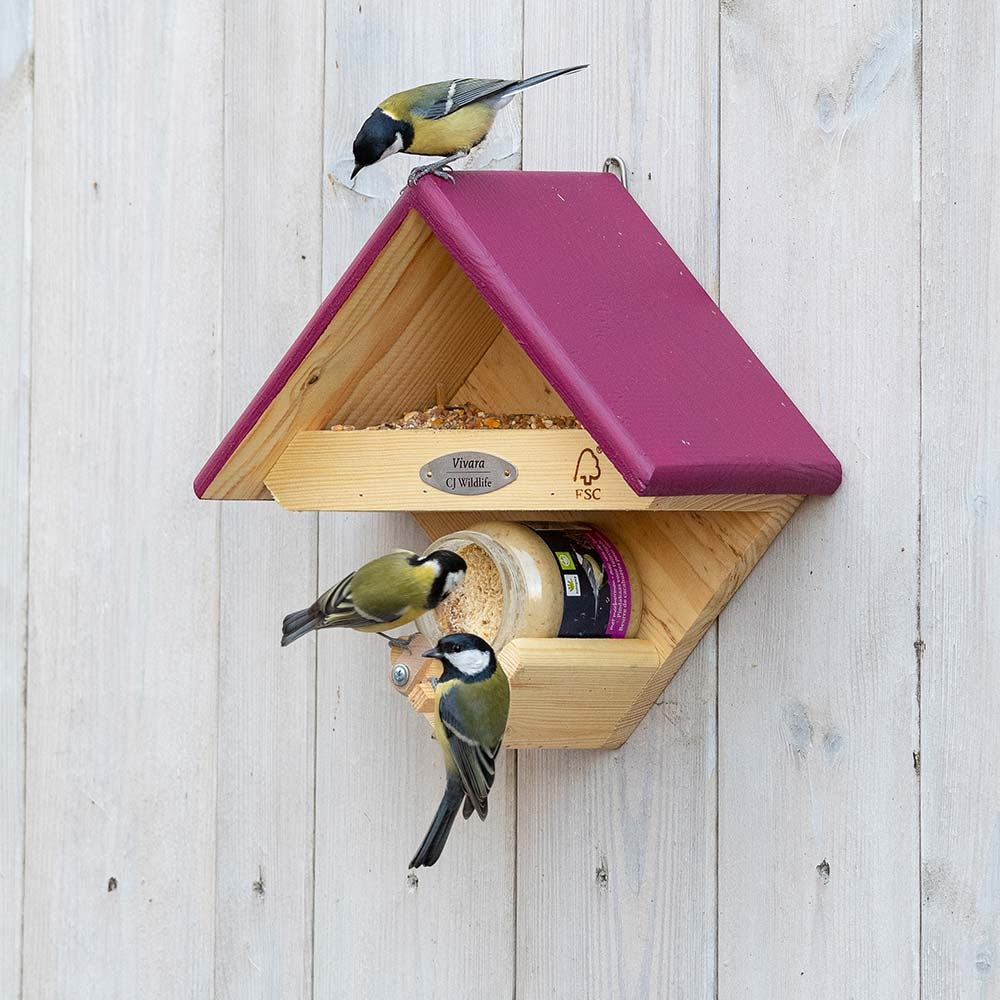 Cumberland Wall Mounted Bird Feeder