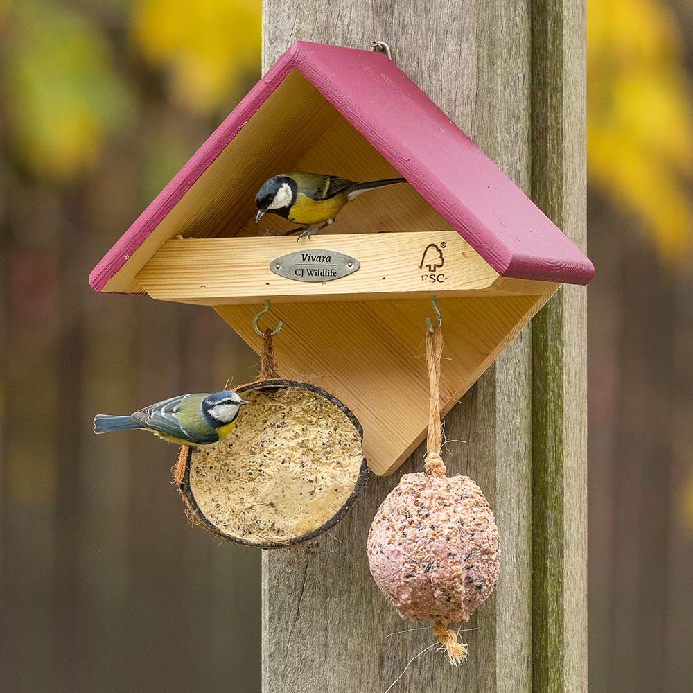 Yellowstone Wall Mounted Bird Feeder