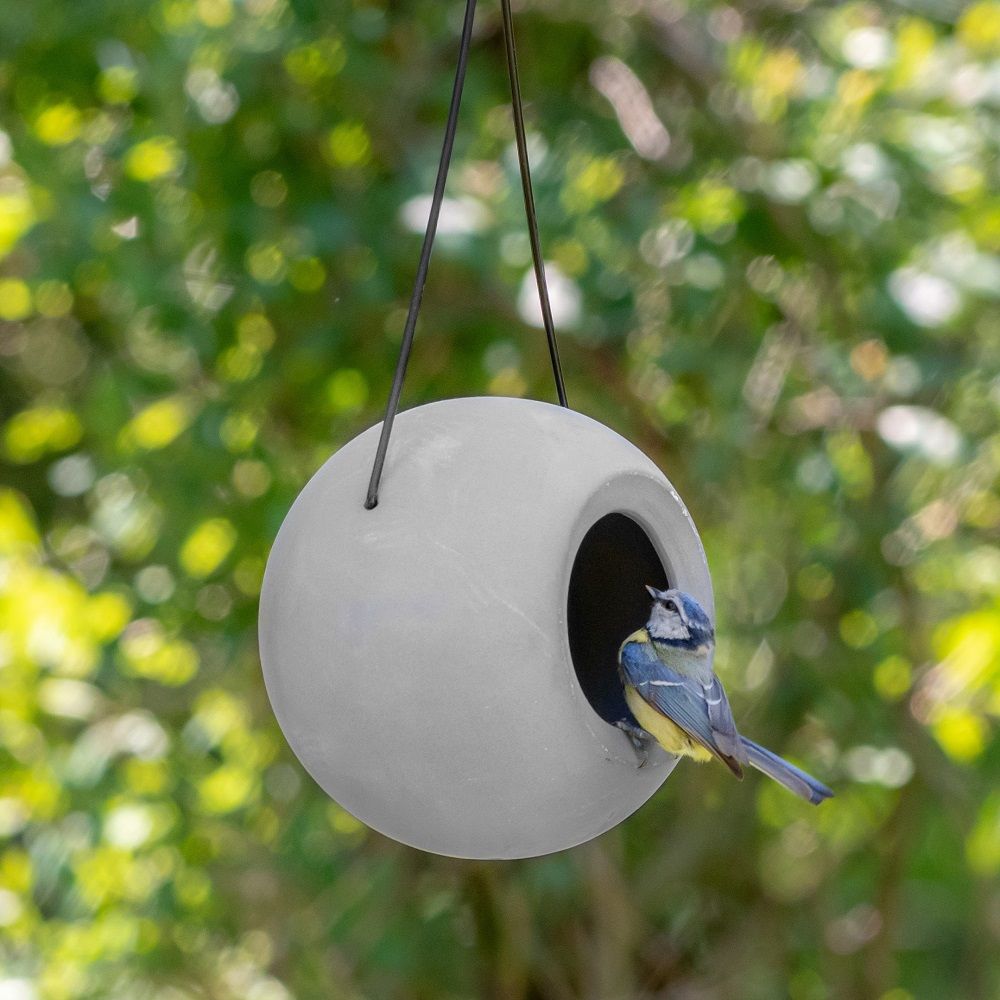 Lisa Bird Feeder