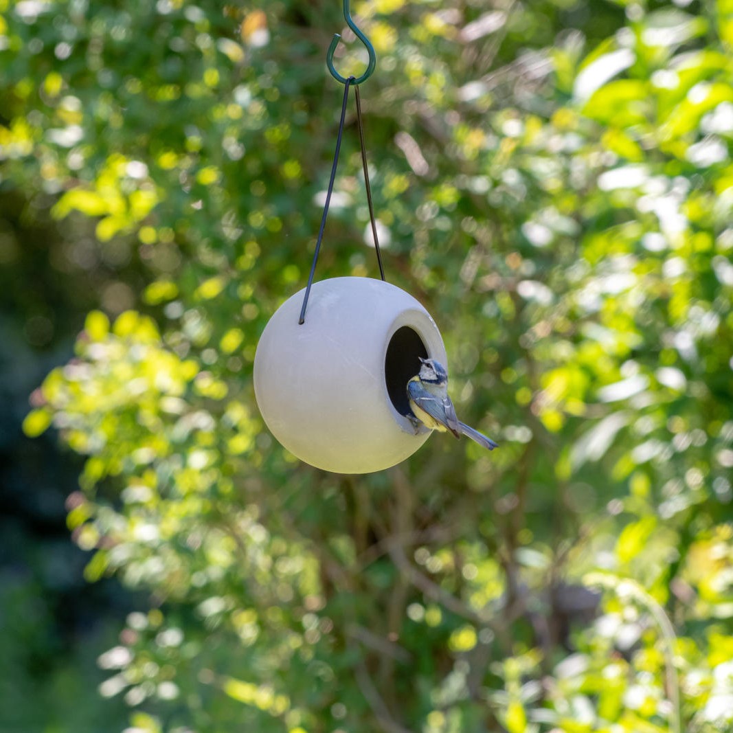 Lisa Bird Feeder