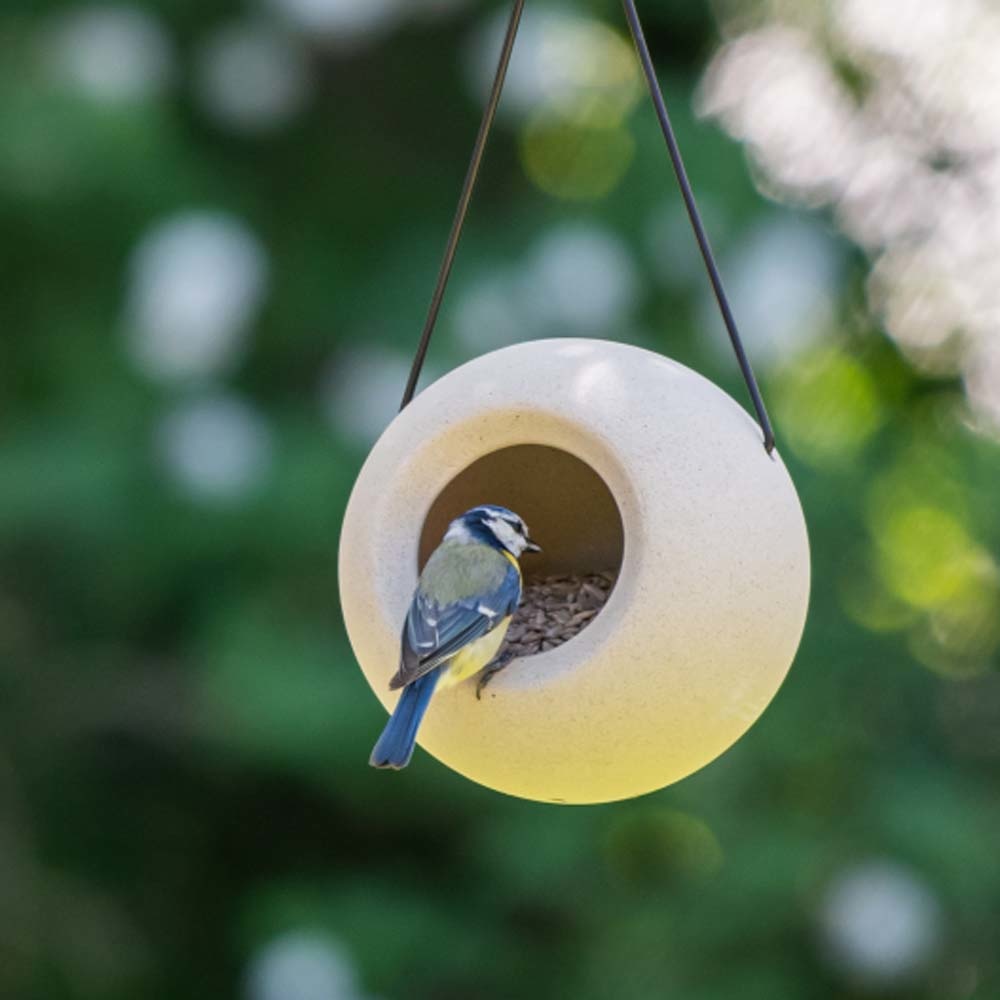 Lisa Bird Feeder