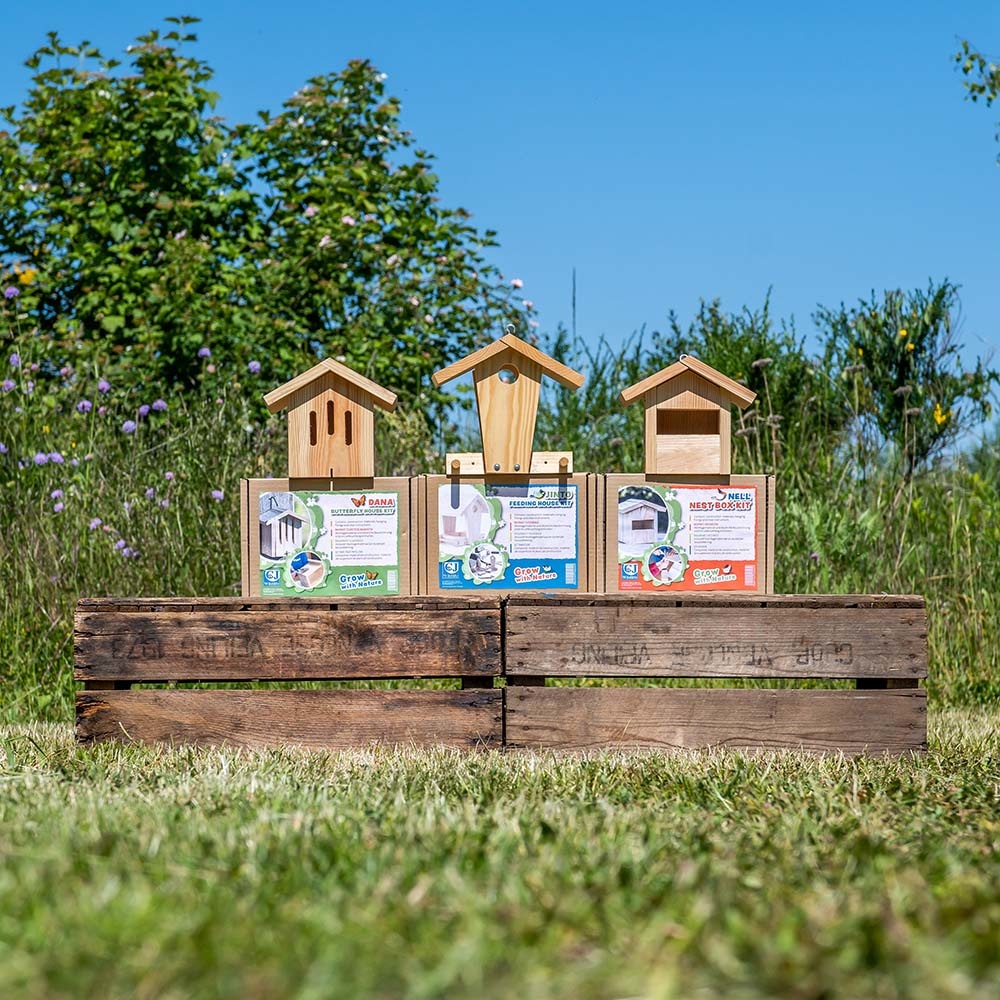 Kids Build-Your-Own Jinto Feeding House Kit