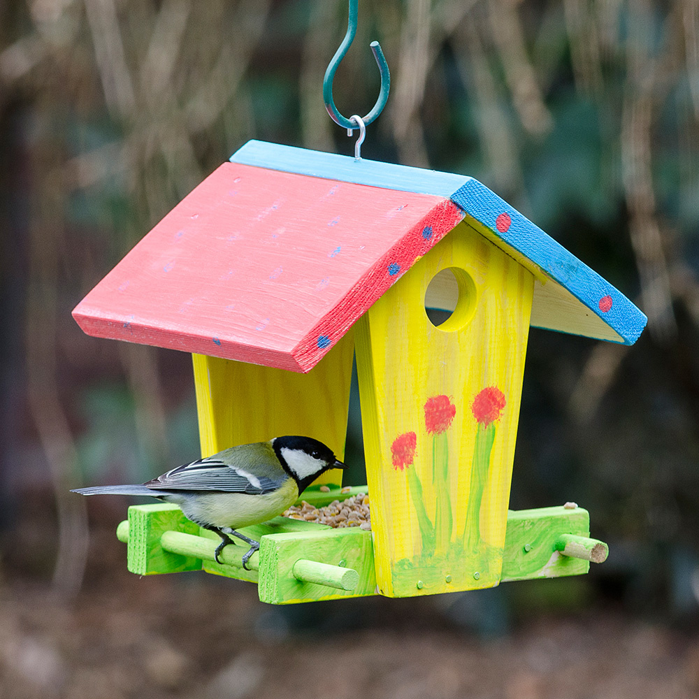 Kids Bouwpakket voederhuis Jinto