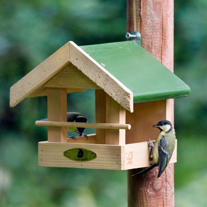 Amazon Bird Seed Feeder