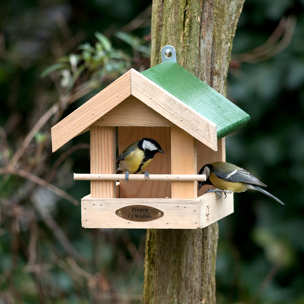 Amazon Bird Seed Feeder