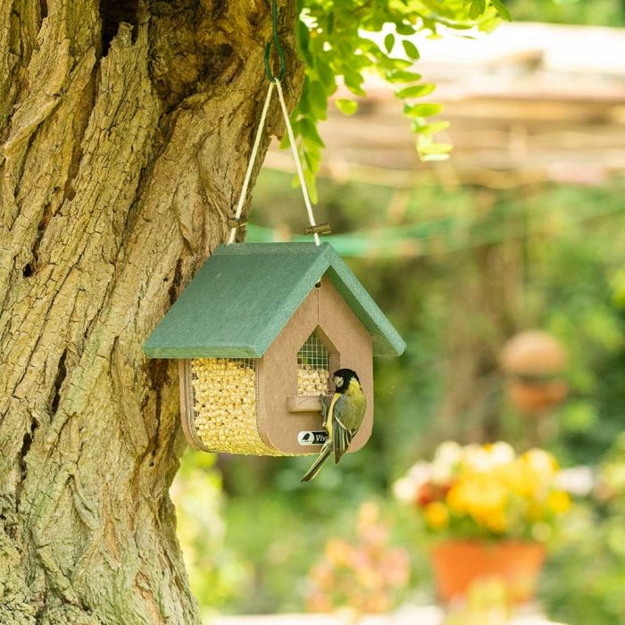 Miletto Recycled Peanut & Suet Bird Feeder