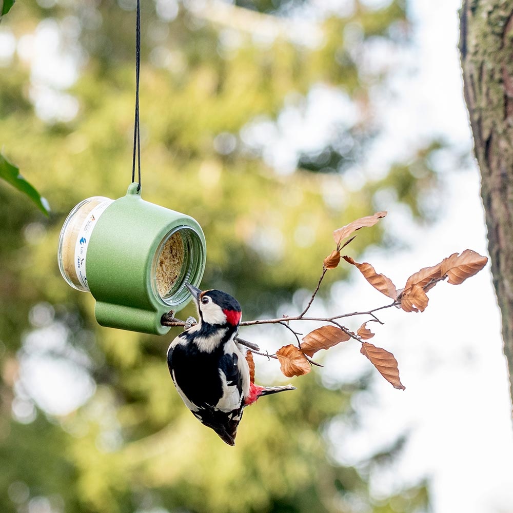 Rio Peanut Butter Jar Feeder