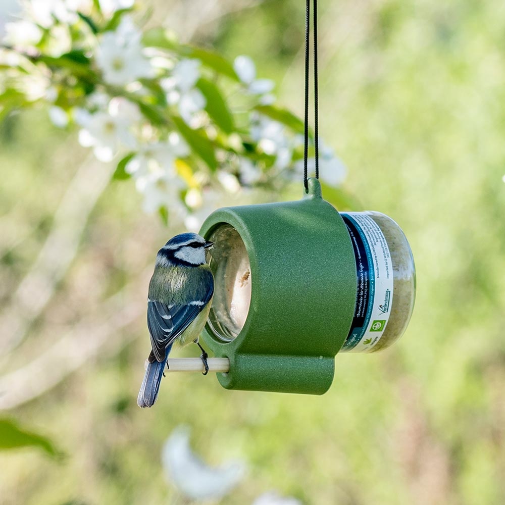 Rio Peanut Butter Jar Feeder