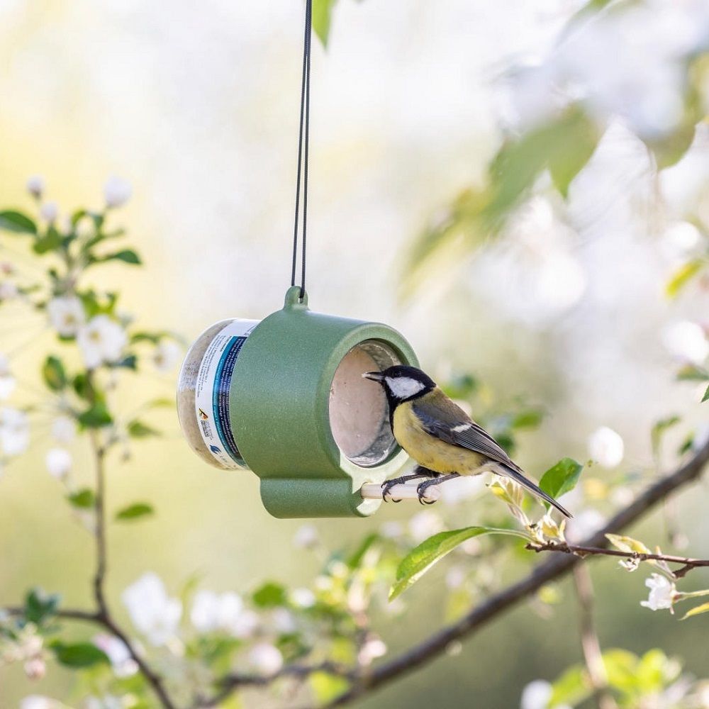 Rio Peanut Butter Jar Feeder