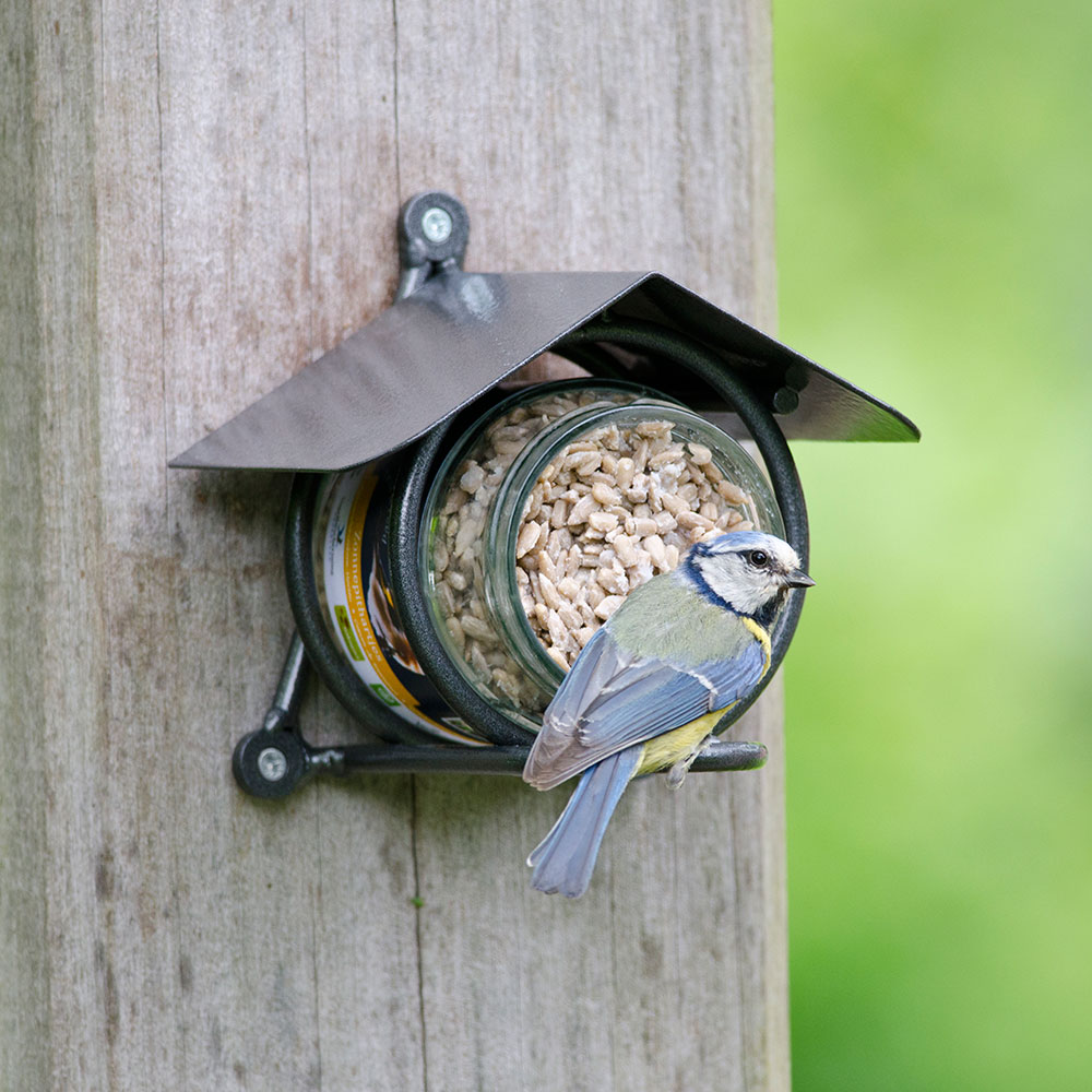 Wicklow Peanut Butter Feeder