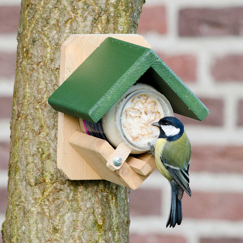 Dublin Peanut Butter Bird Feeder