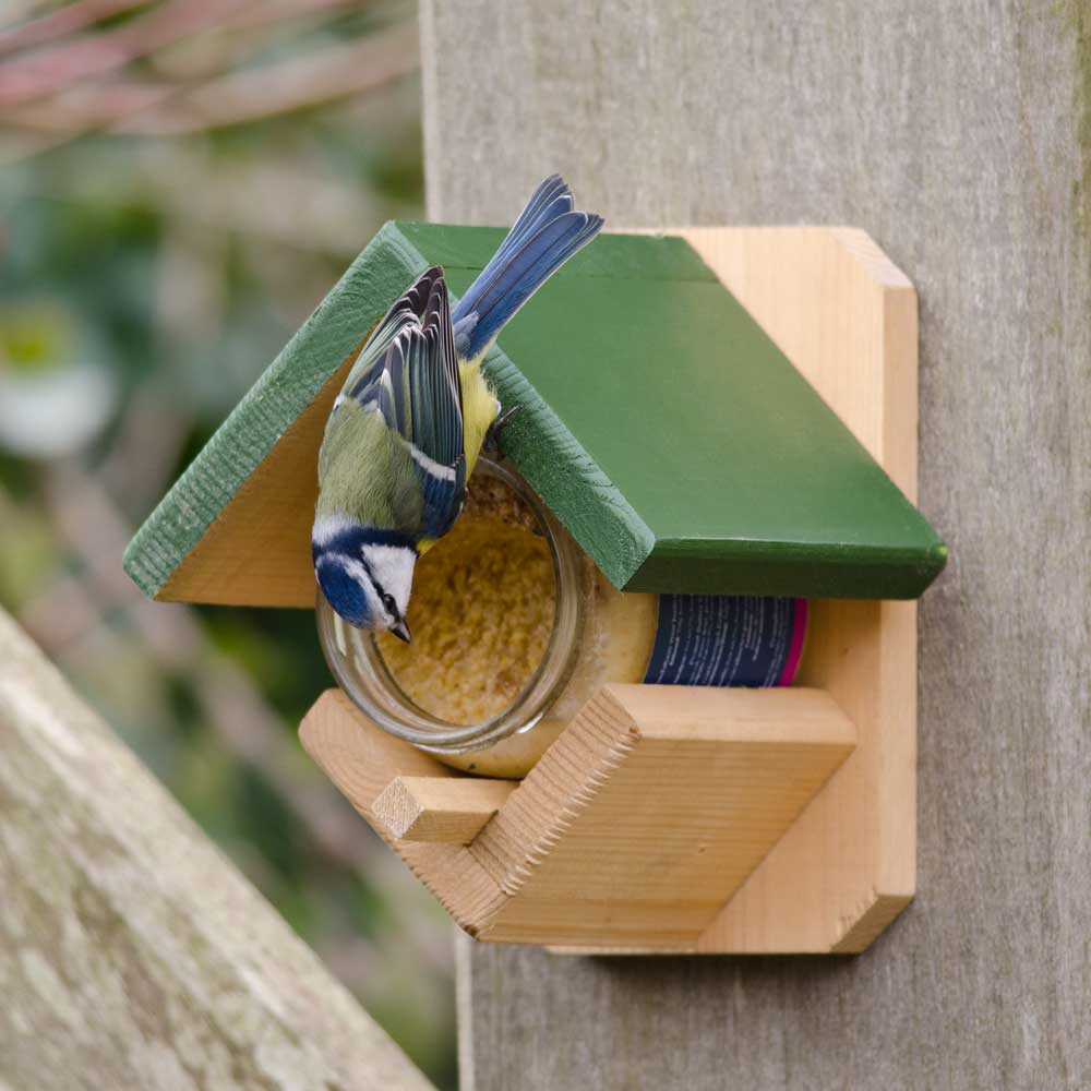 Dublin Peanut Butter Bird Feeder