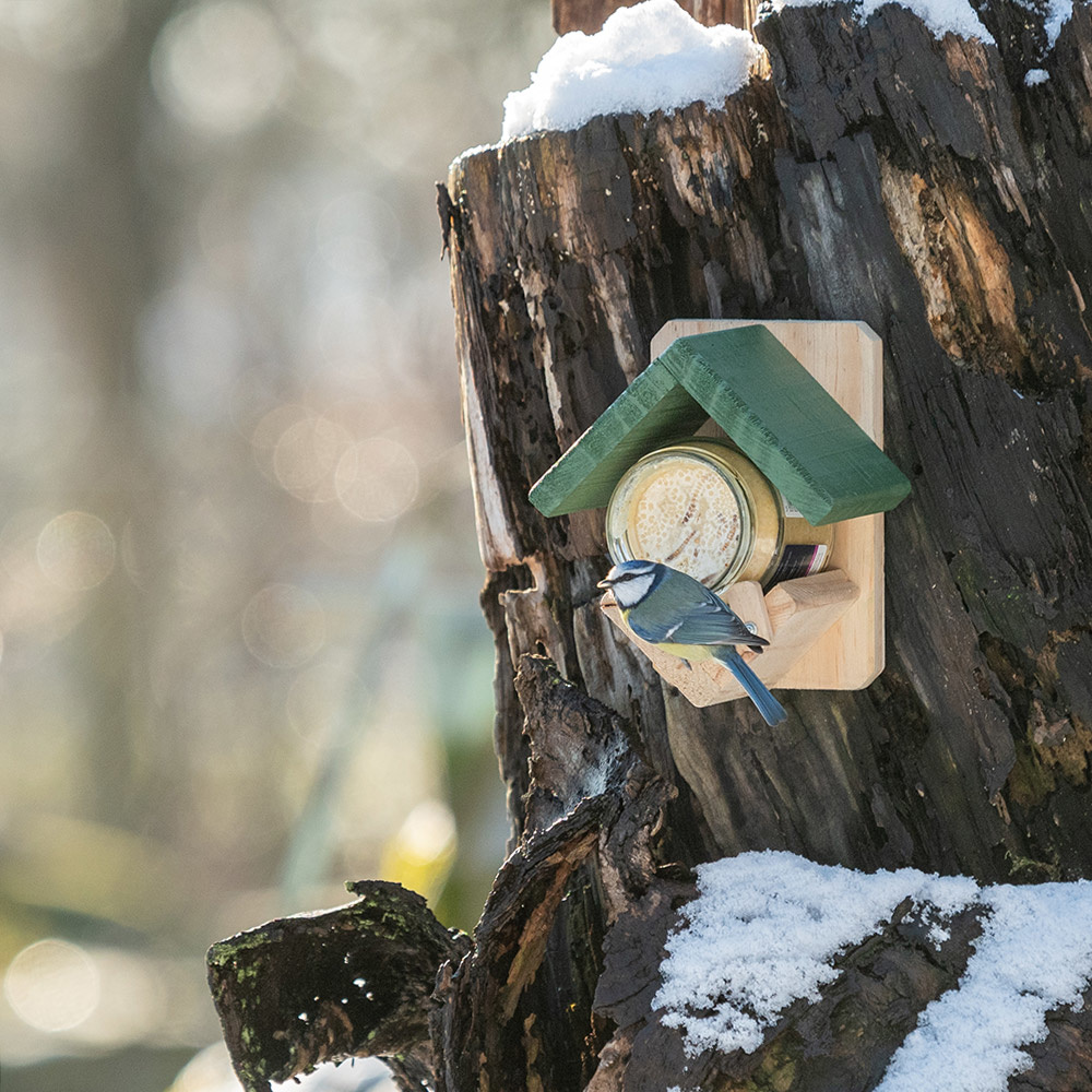 Dublin Peanut Butter Bird Feeder