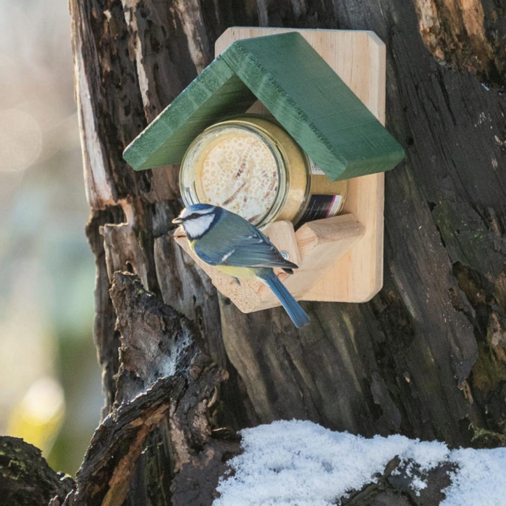 Dublin Peanut Butter Bird Feeder