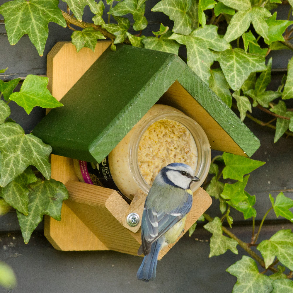 Dublin Peanut Butter Bird Feeder