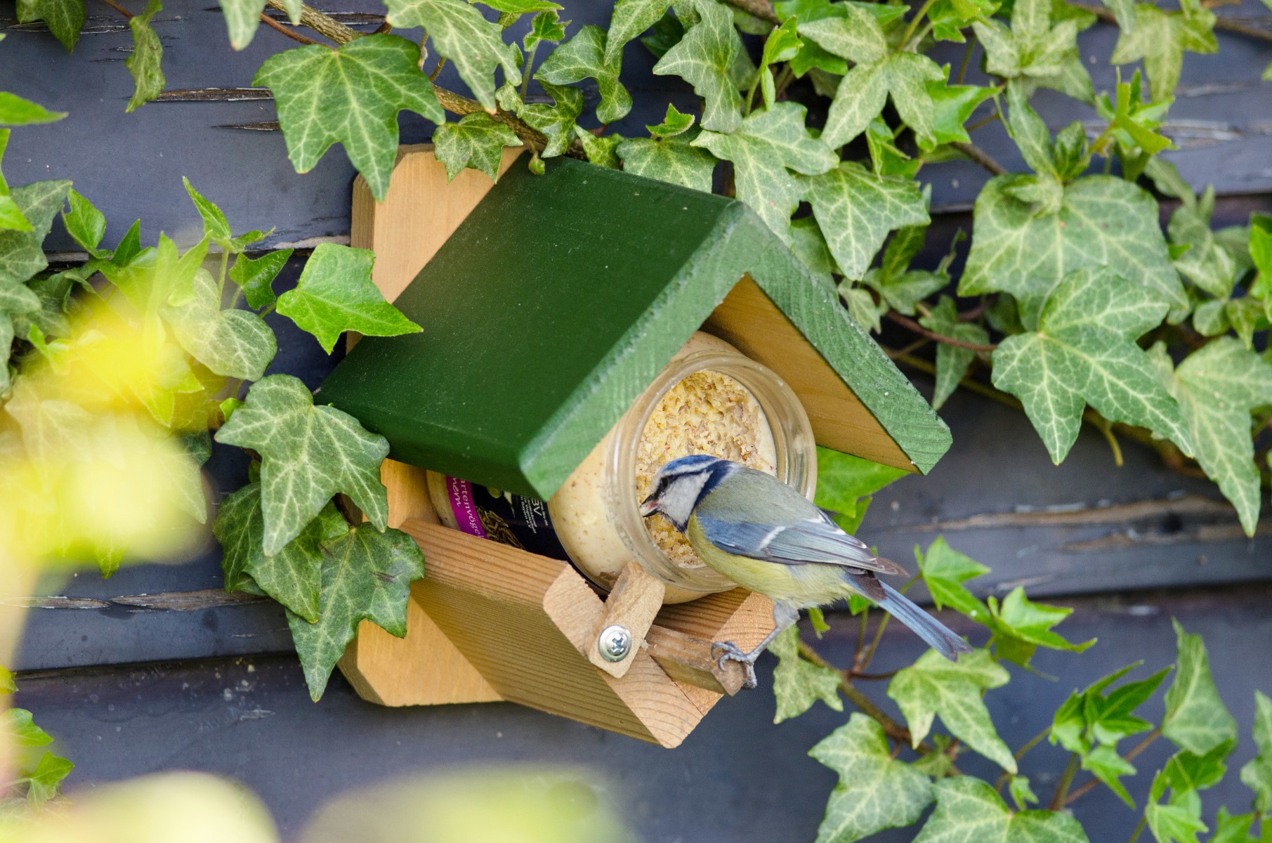 Dublin Peanut Butter Bird Feeder