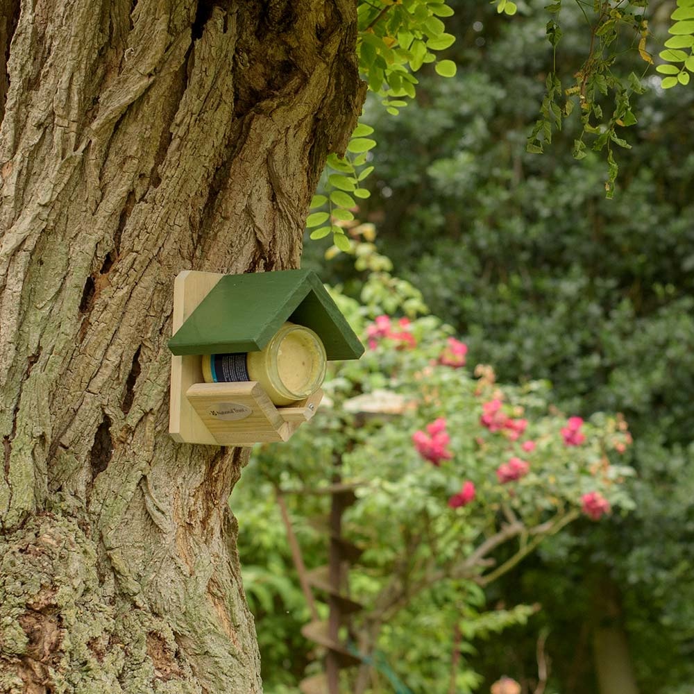 National Trust Dublin Peanut Butter Feeder