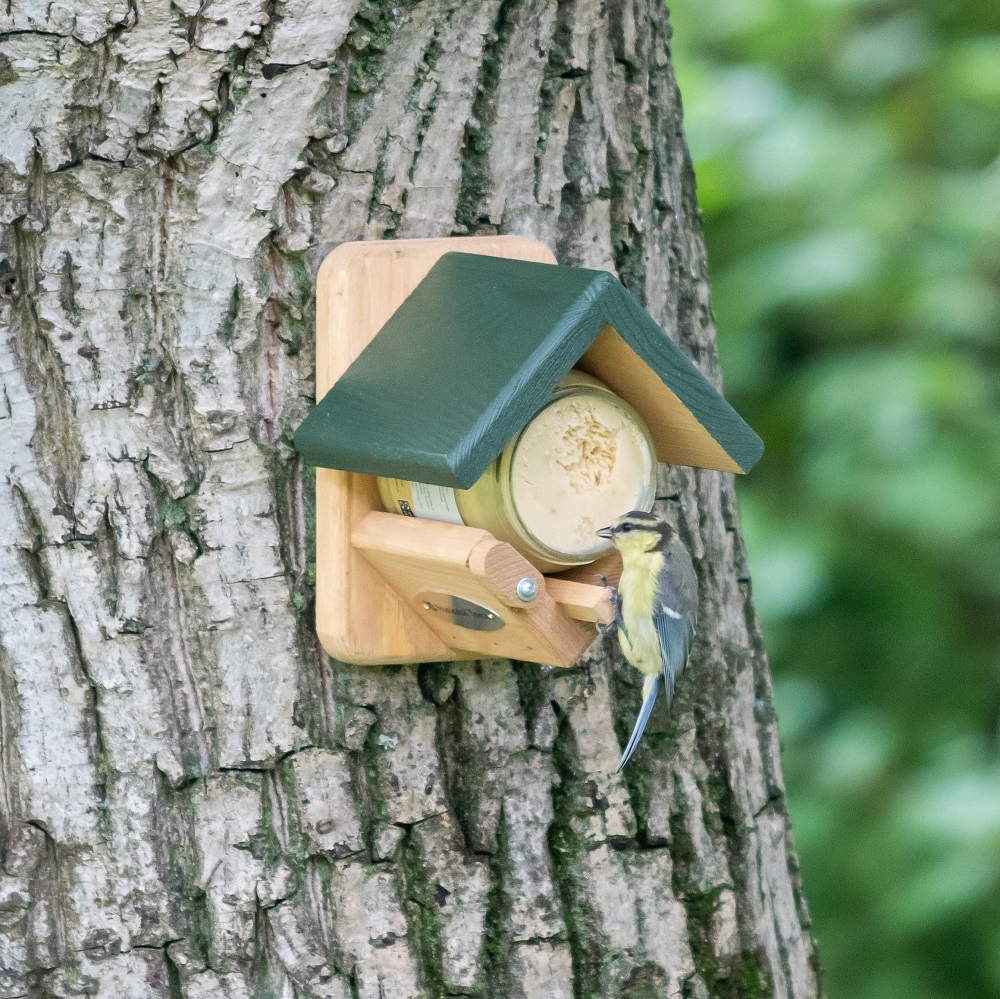 National Trust Dublin Peanut Butter Feeder