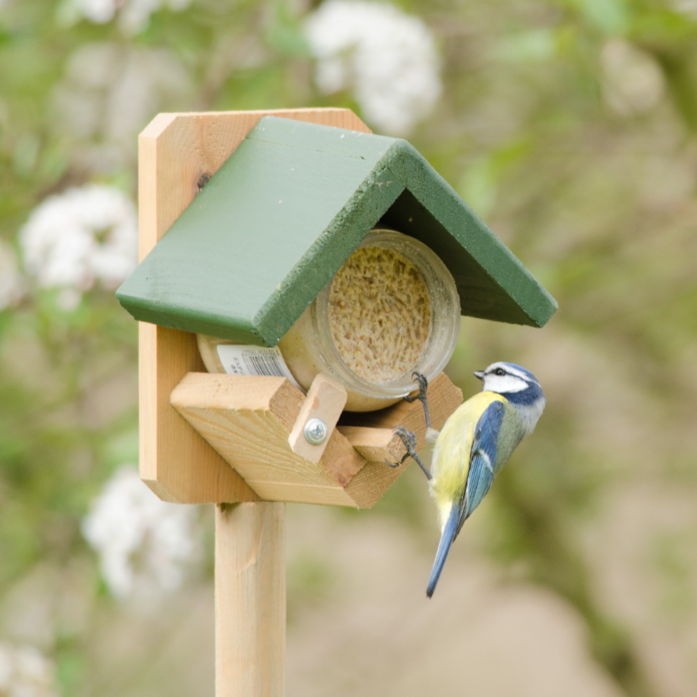 Pole Mounted Dublin Peanut Butter Feeder