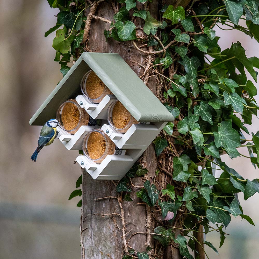 4-Pot Peanut Butter Bird Feeder Freiburg