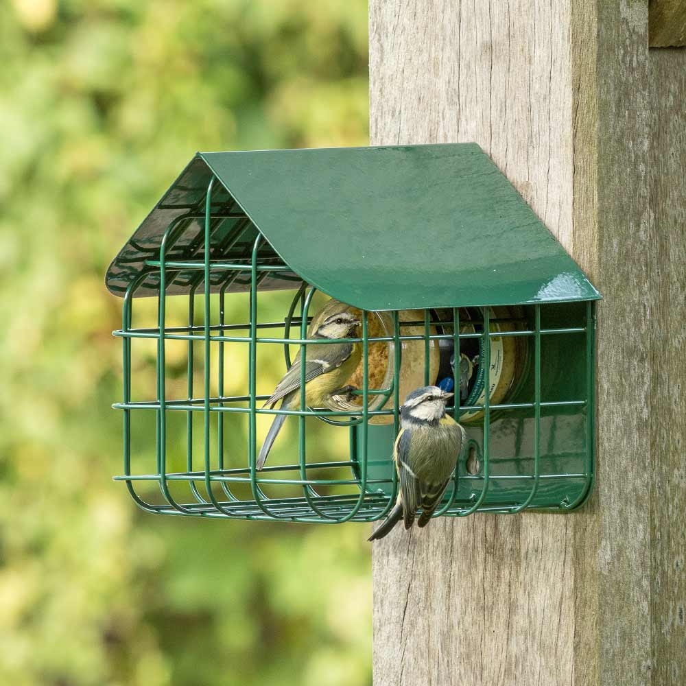 Waterford Peanut Butter Bird Feeder